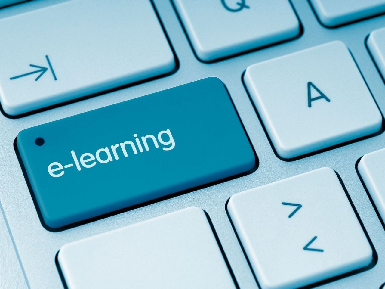 Code 95 e-learning